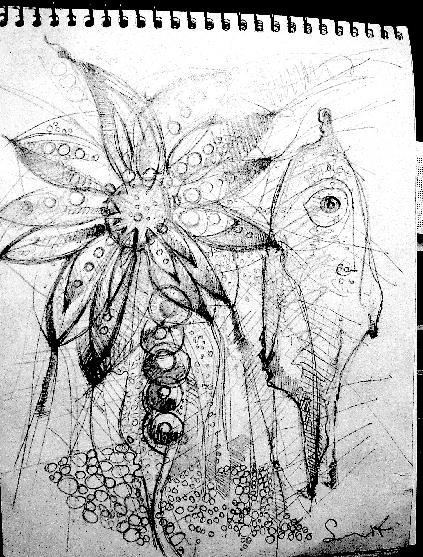 CHIMANISTAC - CALLES DE PIEDRAS - MXDF