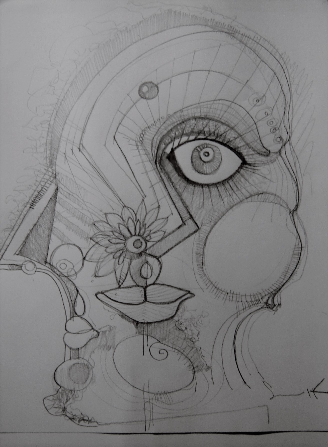 PAULA AYALA - TRUFIS 