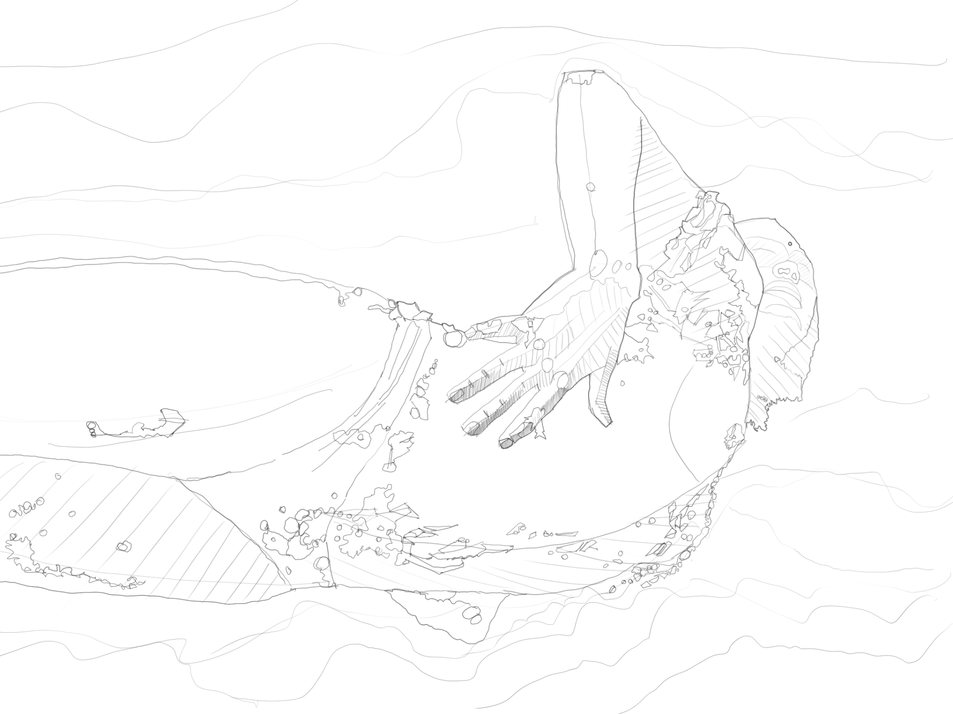 04 Mujer azul nadando en el huascar – Antofagasta 1 