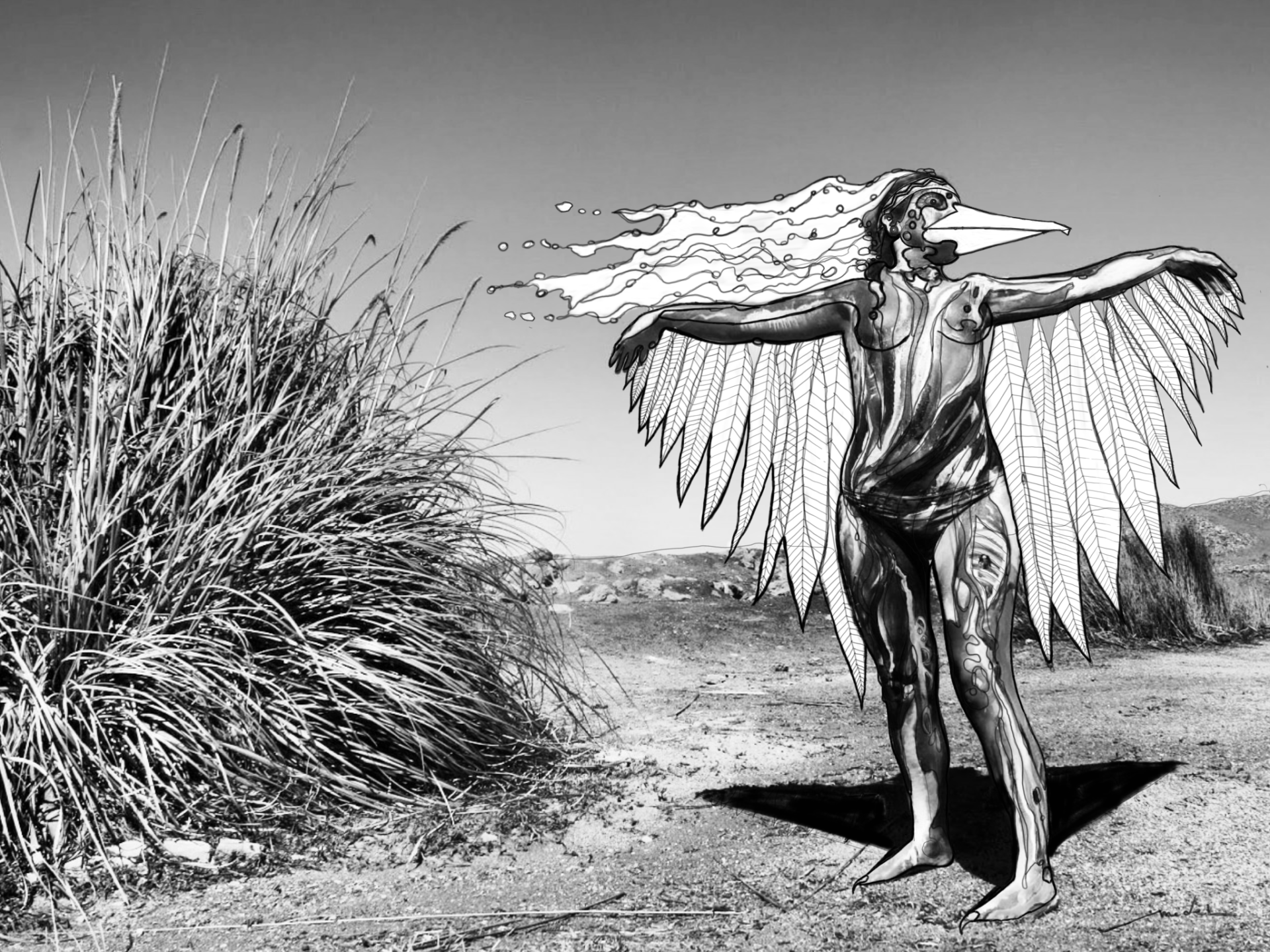 Mujer Pájaro en el KM12  