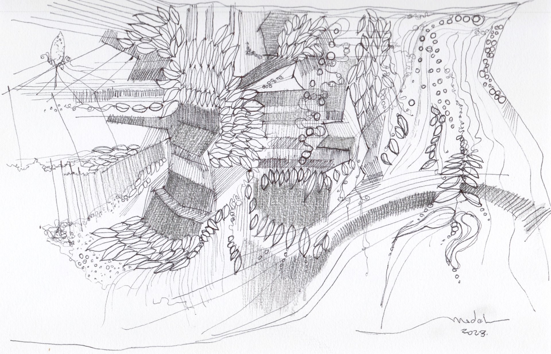 Florecer lento en el tiempo desértico