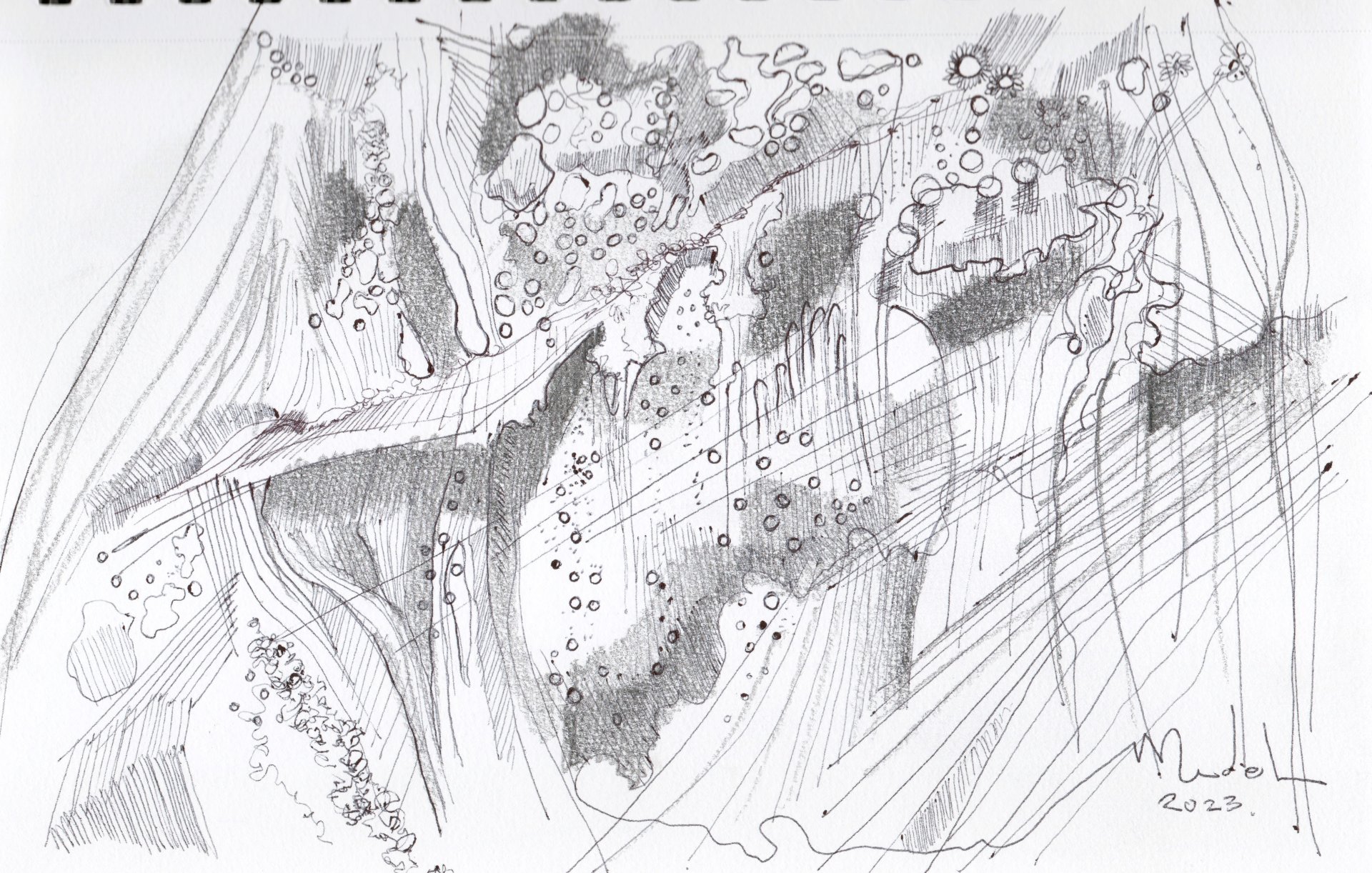 Buceo en las loberas de Mejillones.