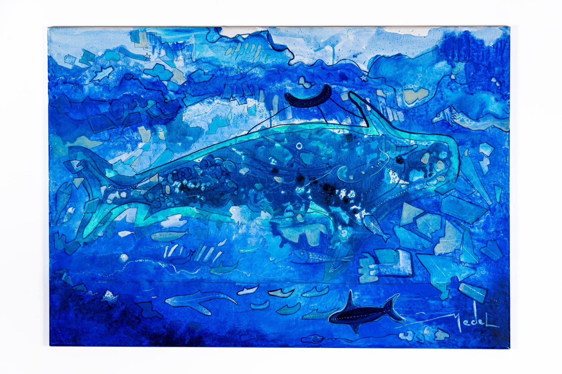  Ballenas y noctilucas