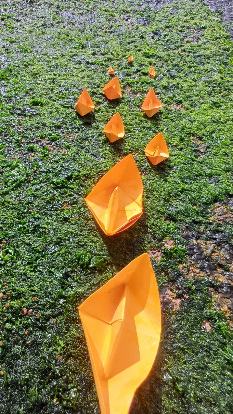 ALFREDO CHELLEW 1 - ANTOFAGASTA - CHILE