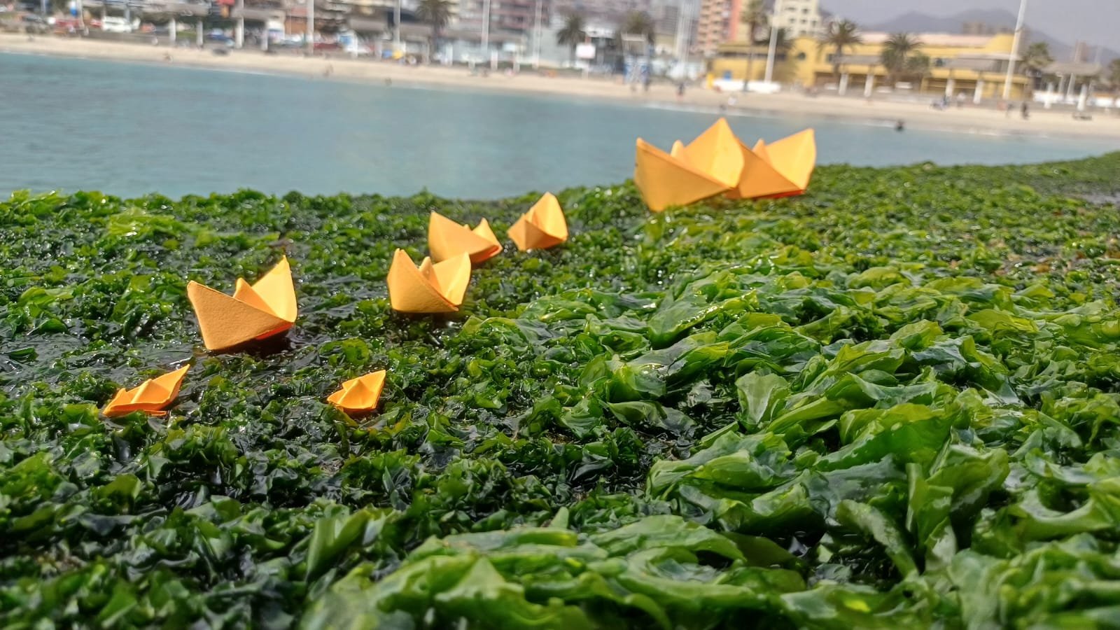 ALFREDO CHELLEW 3 - ANTOFAGASTA - CHILE