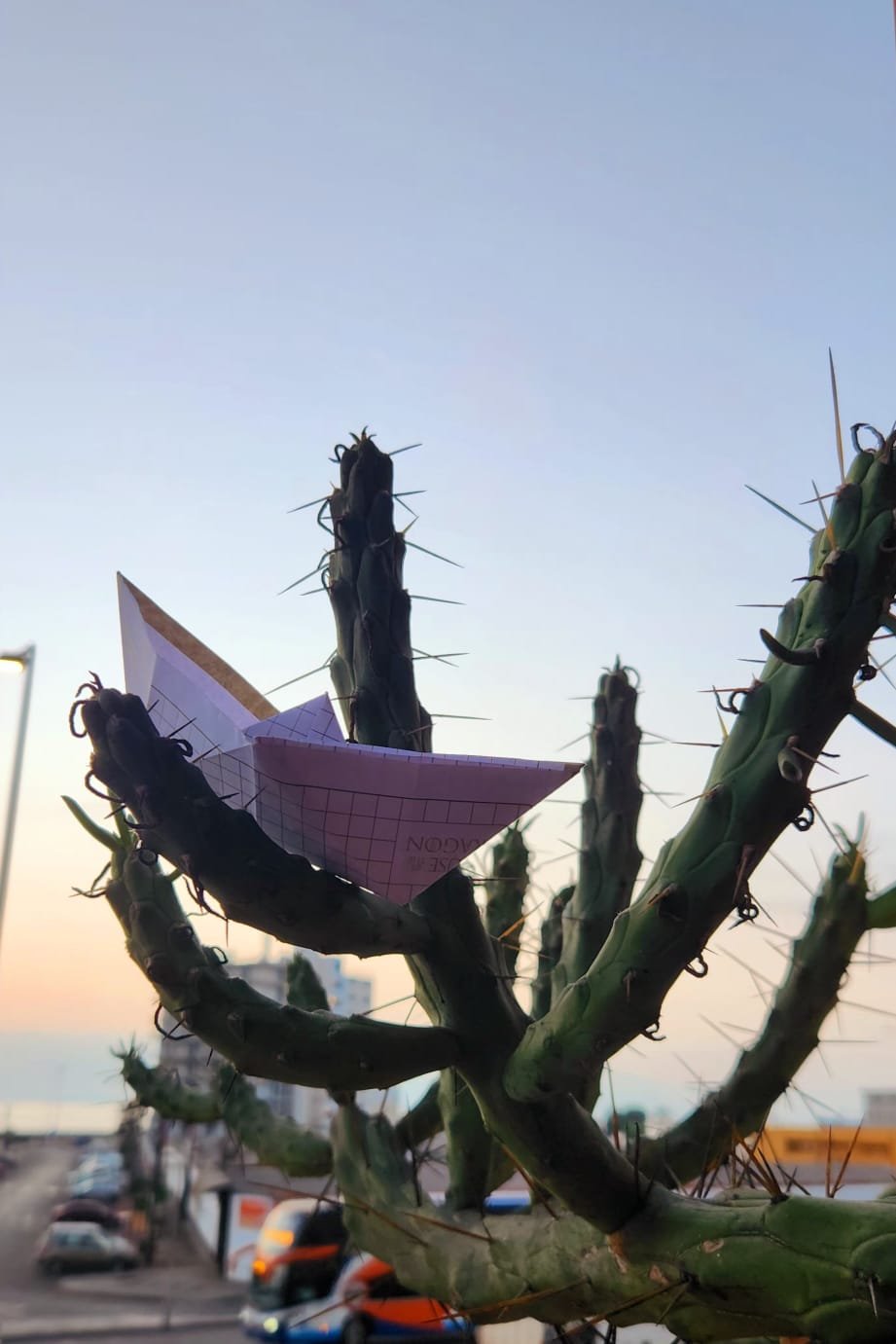 ANDREA FERNANDEZ - 1  - ANTOFAGASTA - CHILE