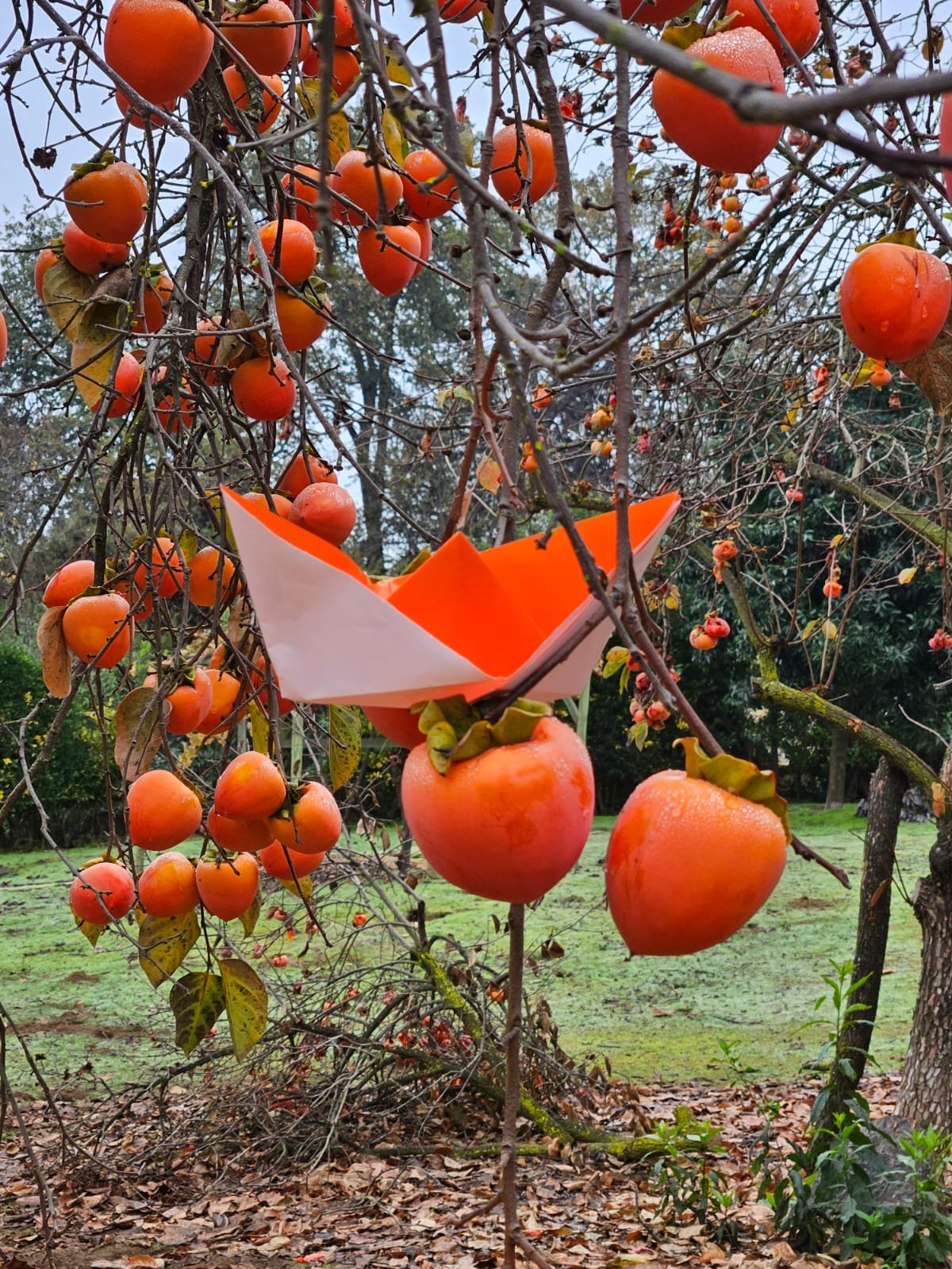 KAREN BETH - VILLA ALEMANA - CHILE 