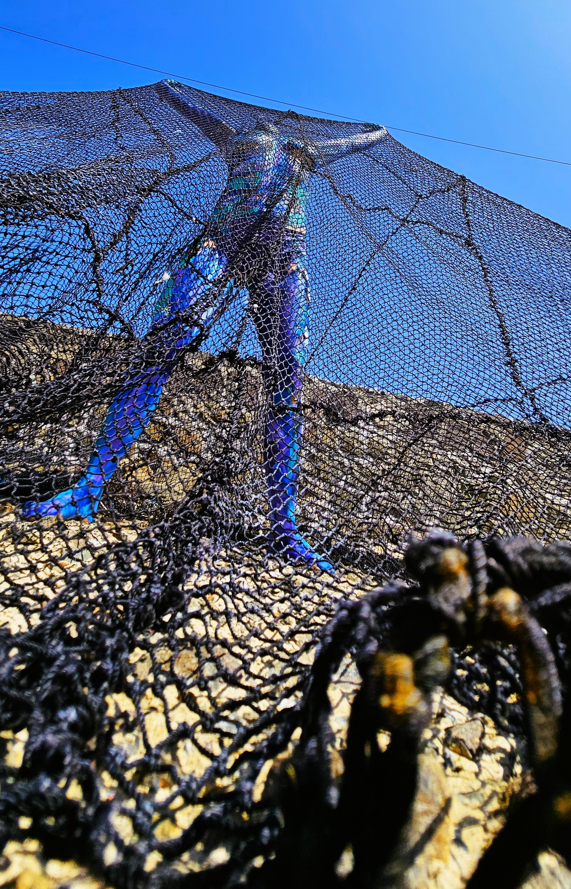 SERIE CUERPOS PINTADOS 2025 - MUJER DEL MAR 2 - BRUMA