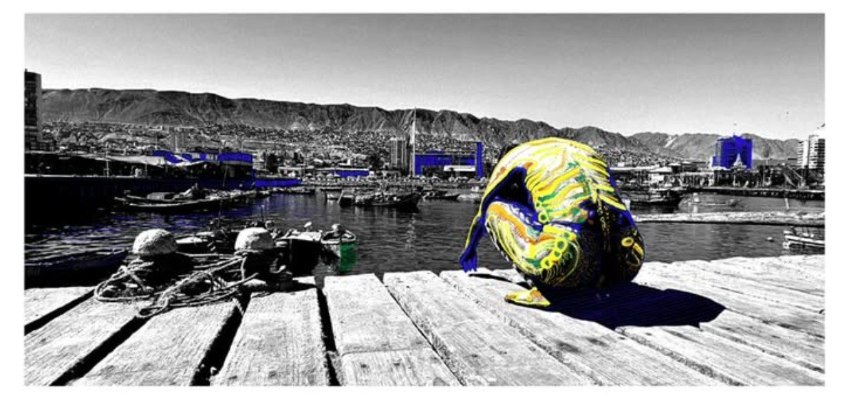 CAMANCHACA 2 - MUJER DEL MAR EN LA CALETA 
