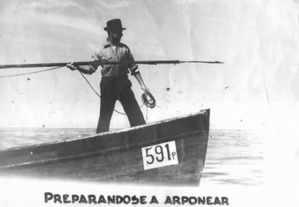 EDUARDO MEDEL A. 